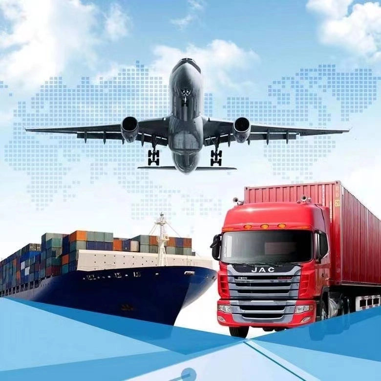 Professional freight agent / Experienced logistics service provider/ container shipment from China to USA by sea/air
