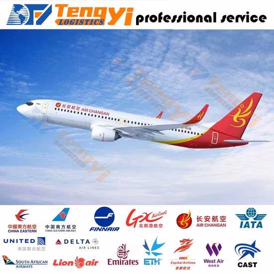 Air Cargo Shipping Box Agent to Guyana From China Cost