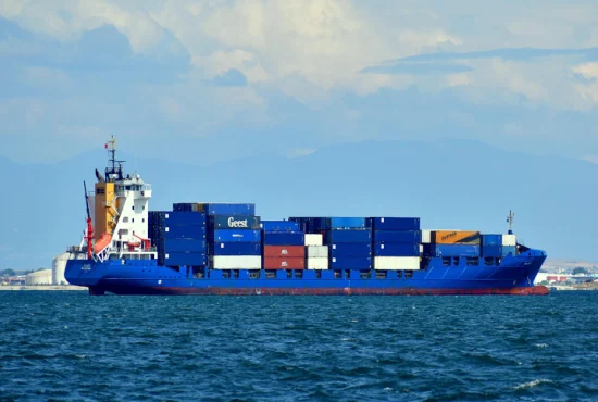 DDP LCL 倉庫フルフィルメントサービスを備えた中国海運代理店によるプロフェッショナルな海上輸送サービス