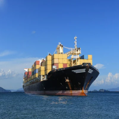 FBA ドアツードアサービス DDP 海上/航空貨物フォワーダー 中国の運送会社から米国、ヨーロッパ、フランス、カナダ、英国への配送料トップ 10