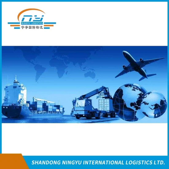 専門の運送代理店 / 経験豊富な物流サービスプロバイダー / 中国からオーストラリアへの海上/航空コンテナ輸送
