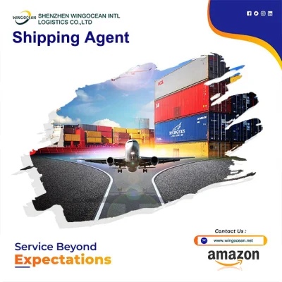 Sea Shipping 中国深センの世界規模の貨物輸送代理店 フランス、カナダ、米国向けのドアツードア貨物輸送業者